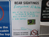 Other summer activities in Whistler - Bear sightings